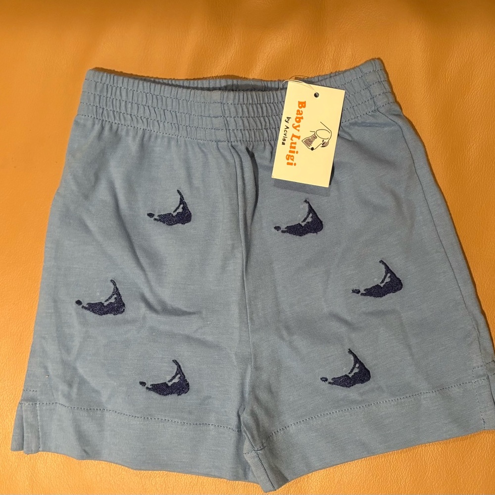 Light Blue Kids Shorts with Nantucket island embroidery